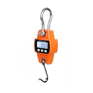 CRANE-SCALE