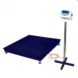Custom Floor Scale